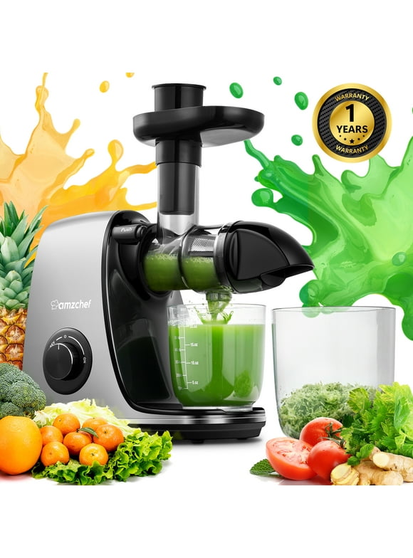 AMZCHEF Juicer Machines Easy to Clean Cold Press Slow Masticating Juicer Feed Chute for Vegetable and Fruit,Gary