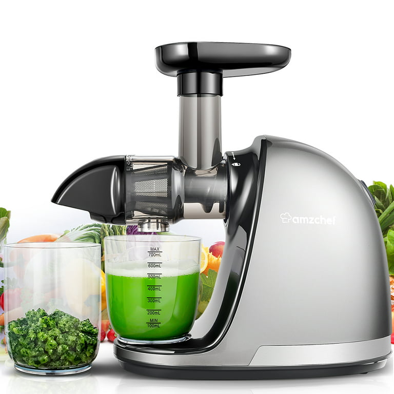 WHALL Slow Juicer Review  Cold Press Juicer Machines Vegetable and Fruit,  Juicers with Quiet Motor 