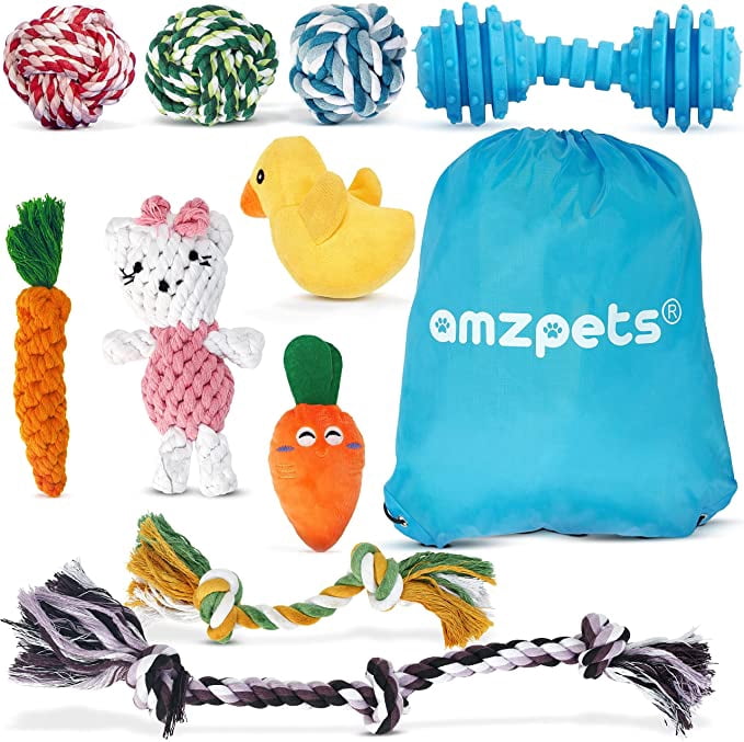 AMZpets 10 Dog Toys for Small Dogs and Puppies. Squeaky Toys, Rope, Plush Games, Chewing Ropes, Balls, Rubber Bone & Carry Bag