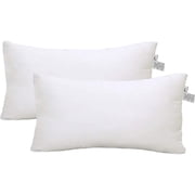 ANA 12 X 20 Pack of 2 pc Hypoallergenic Square Form Decorative Throw Pillow Inserts Couch Sham Cushion Stuffer,Square Pillow Form for Patio, Furniture, Bed, Liv