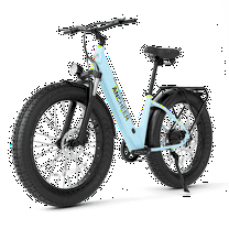 ANCHEER Electric Bike for Adults, 750W Ebike, 28MPH 60Miles Electric Mountain Bike, 26" Fat Tire Electric Bicycle with 48V 15AH Battery, Rear Rack, Lockable Suspension Fork,7 Speed, UL2849