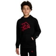 thumbnail image 1 of AND1 Boy's Athletic Graphic Fleece Hoodie, Sizes 4-18, 1 of 6