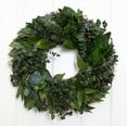 thumbnail image 1 of ANDALUCA 20" Preserved Real Natural Eucalyptus Wreath (Mixed), 1 of 6