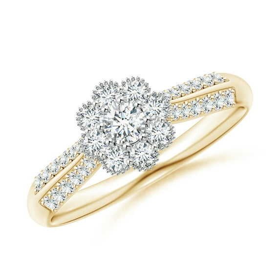 ANGARA Natural 0.12 Ct. Diamond Halo Engagement Ring in 14K Yellow & White Gold for Women (Ring Size: 11.5)