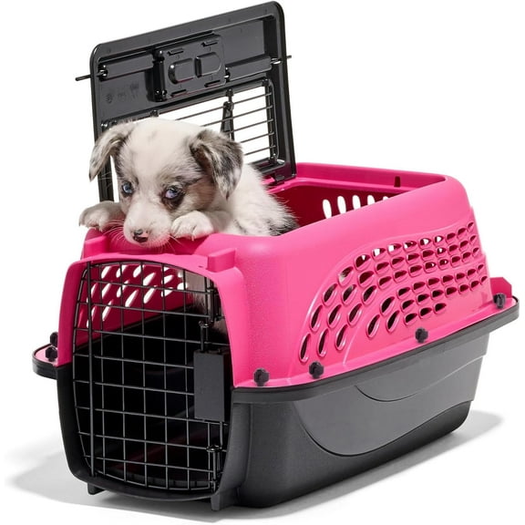 ANHXN Dog Crates for Small Dogs & Cat Carriers, Plastic Pet Kennel, Top & Front Loading,