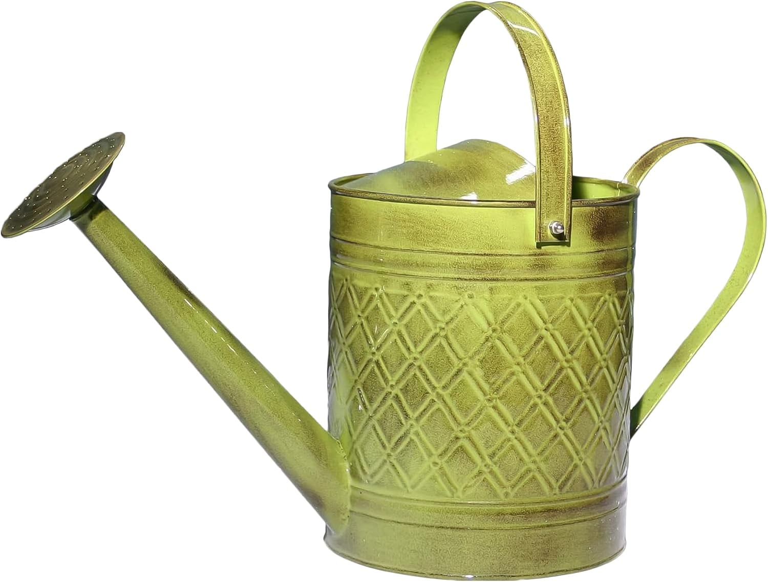 ANHXN MPT01500 Wexley Metal Watering Can,  Tansy Green