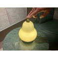 thumbnail image 1 of ANICCO LAB Pear Table Lamp,3 Color Temperature Dimmable, with LED Bulb, 1 of 8