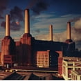 thumbnail image 1 of ANIMALS (2011 REMASTER), 1 of 1