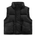 thumbnail image 1 of ANINEO Baby Boys Girls Puffer Vest Winter Warm Lightweight Toddler Vest Outerwear High Neck Cute Sleeveless Jacket, 1 of 7