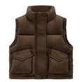 thumbnail image 1 of ANINEO Baby Boys Girls Puffer Vest Winter Warm Lightweight Toddler Vest Outerwear High Neck Cute Sleeveless Jacket, 1 of 4
