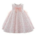thumbnail image 1 of ANINEO Infant Girls Dress Bowknot Mesh Flower Dress Sleeveless O-Neck Children Party Pageant Dress Lovely Child Dailywear, 1 of 5