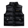 thumbnail image 1 of ANINEO Kids Boys Girls Vest Winter Warm Lightweight Toddler Vest Outerwear High Neck Cute Sleeveless Jacket, 1 of 4