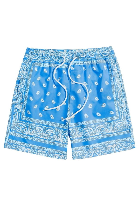 ANINEO Men Boho Drawstring Waist Paisley Print Summer Beach Shorts Male Bottoms