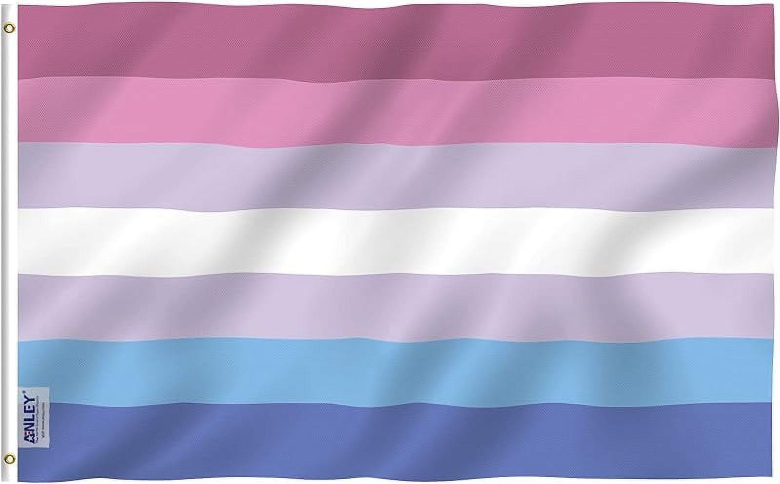 Anley Fly Breeze 3x5 Foot Bigender Pride Flag with Brass Grommets
