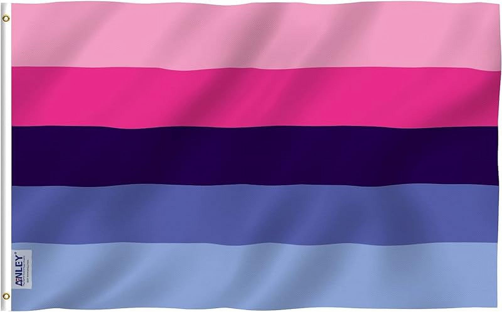 Anley Fly Breeze 3x5 Foot Bigender Pride Flag with Brass Grommets