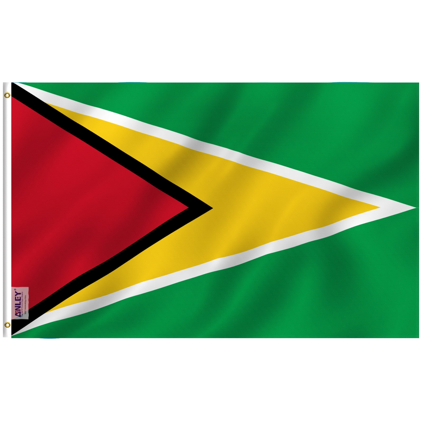 Fly Breeze 3x5 Foot Guyana Flag with Brass Grommets