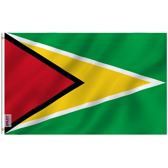 ANLEY Fly Breeze 3x5 Foot Guyana Flag The Golden Arrowhead - Vivid Color and UV Fade Resistant - Canvas Header and Double Stitched - Guyanese Flags Polyester with Brass Grommets 3 X 5 Ft