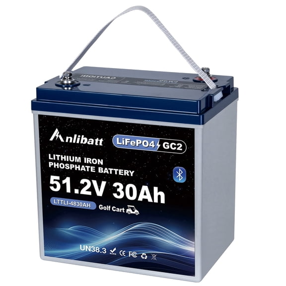 ANLIBATT Golf Cart LiFePO4 Battery 48V 30Ah Grade A Bluetooth Deep Cycles Rechargeable Lithium Battery with Built-in 100A BMS for Golf Cart, Solar System, Rvs