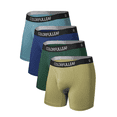 thumbnail image 1 of ANLIQI Men's Underwear Moisture Wicking Boxer Briefs Breathable Soft Waistband Bamboo Rayon Underwear for Men with 3D-Pouch Opening Fly(4G2,S), 1 of 6