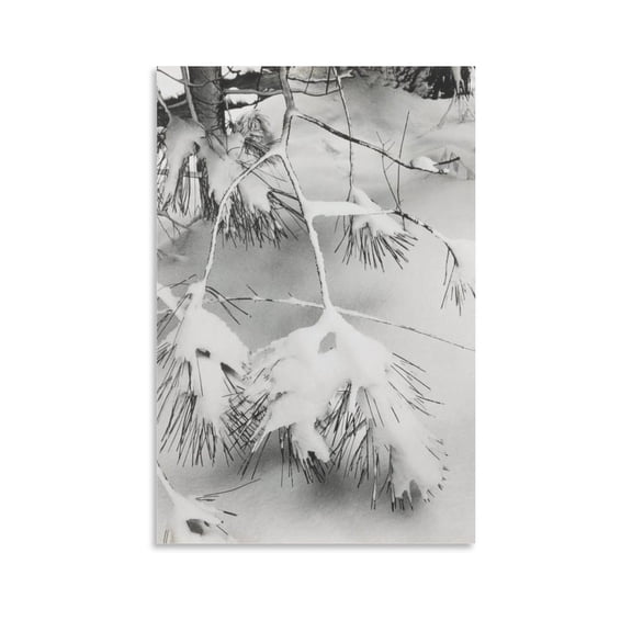 ANSEL ADAMS Branches in Snow Home Decor Poster Wall Art Hanging Picture Print Bedroom Decorative Painting Posters Room Aesthetic 16x24inch(40x60cm)