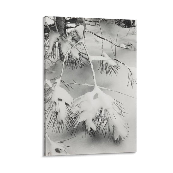 ANSEL ADAMS Branches in Snow Wall Art Poster Gifts Bedroom Prints Home Decor Hanging Picture Canvas Painting Posters 16x24inch(40x60cm)