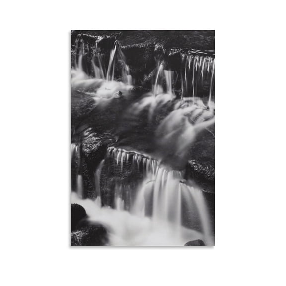 ANSEL ADAMS Fern Spring Canvas Art Poster and Wall Art Picture Print Modern Family bedroom Decor Posters 12x18inch(30x45cm)