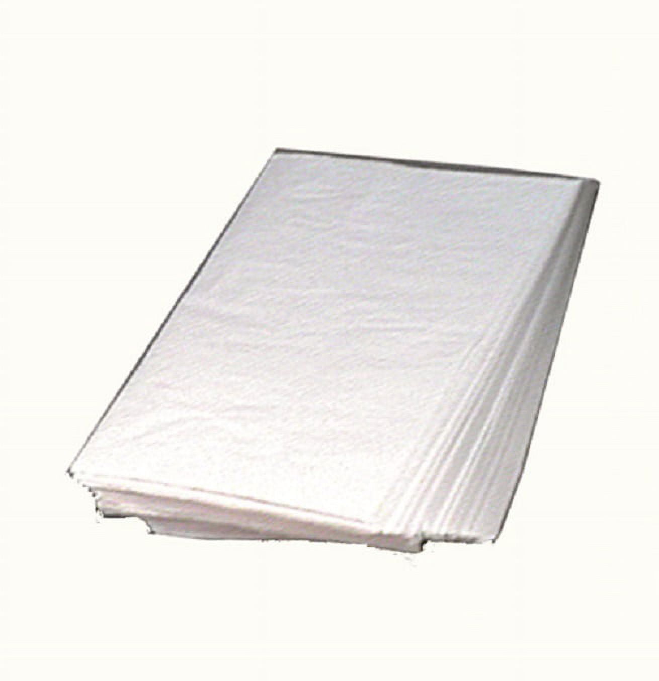 Anti-Tarnish Tissue 120 Sheets 20 x 30 Inches | Esslinger