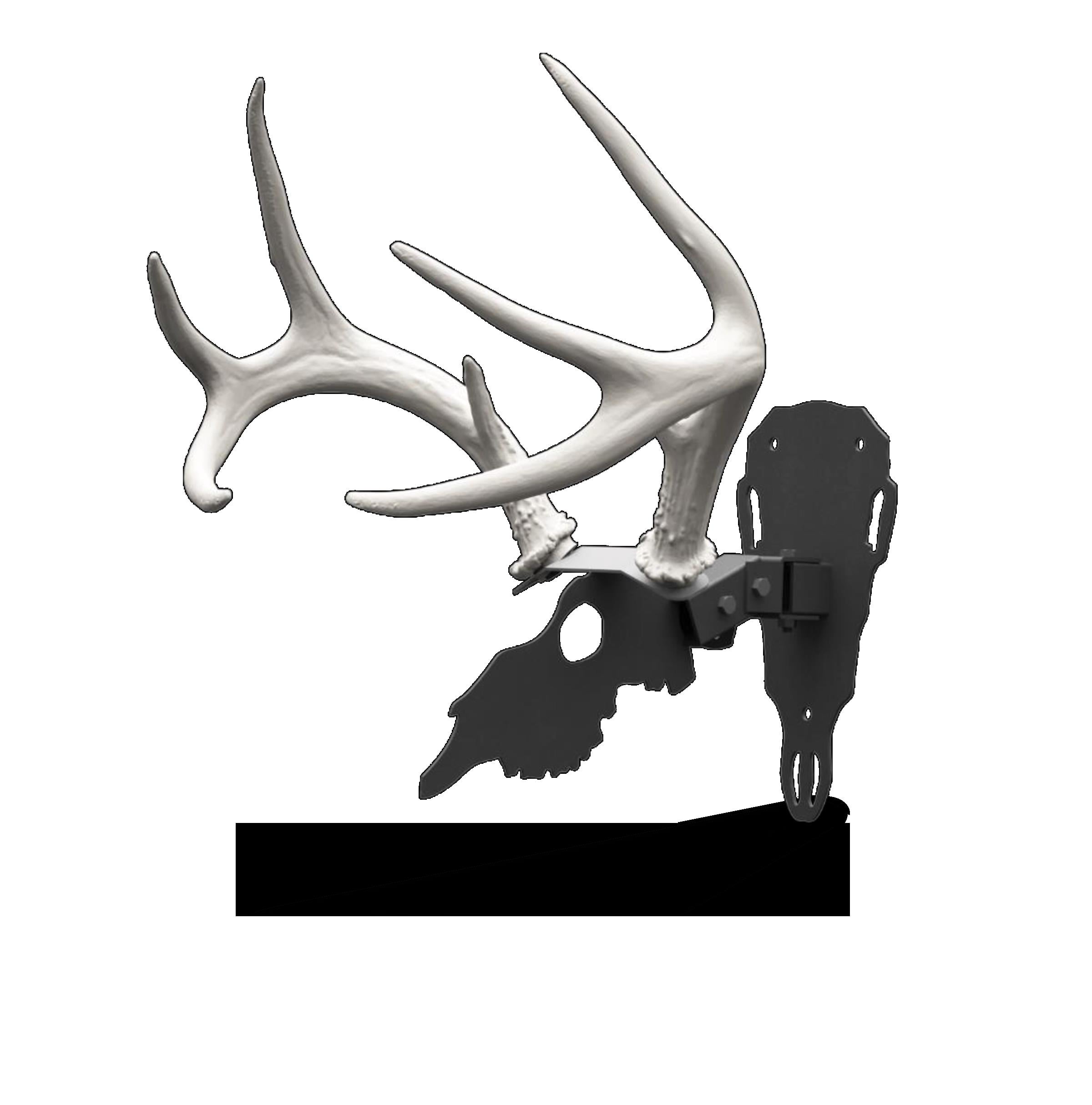 ANTLER SHED MOUNT