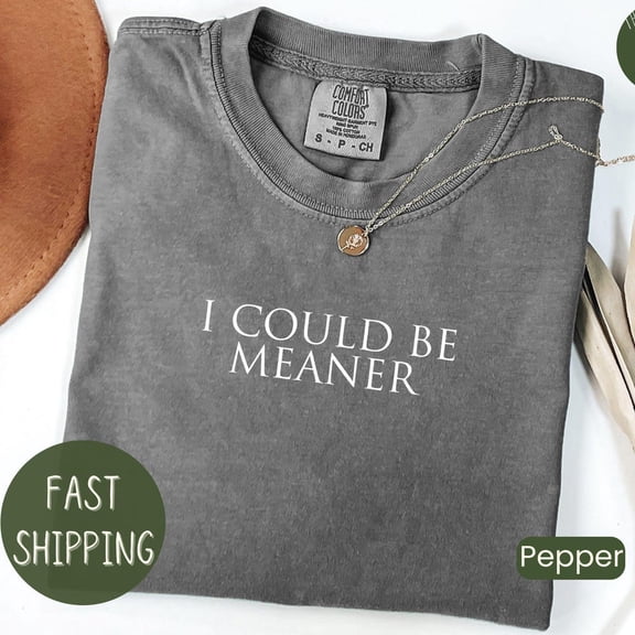 ANUNSHIRT I Could Be Meaner Shirt Funny Shirt, Sarcasm Shirt, Funny Quote Shirt, Trendy Shirt For Tiktok Unisex S-5XL Hot Trending Shirt, Vintage Birthday Gift