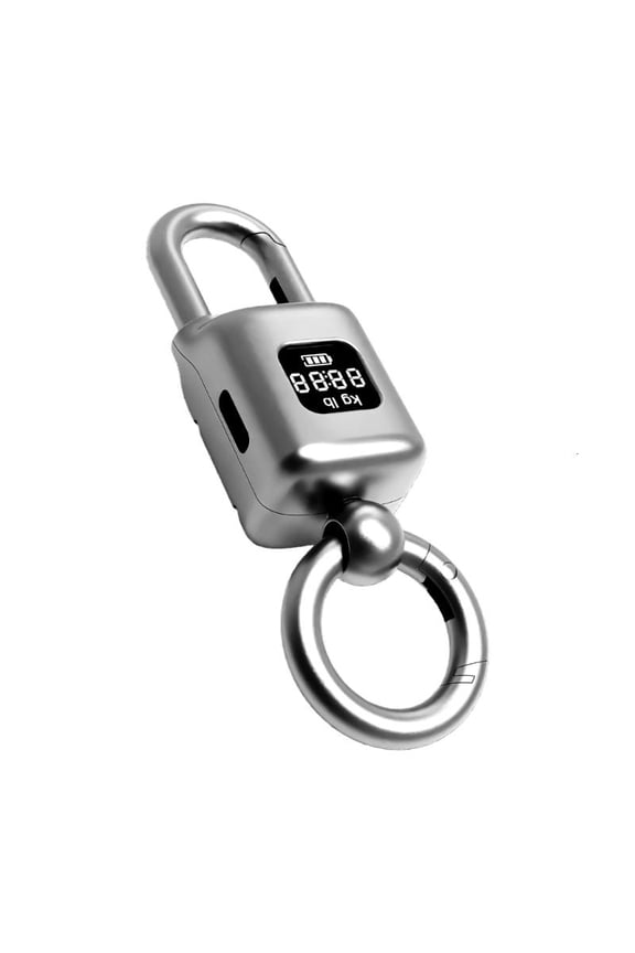 Portable Keyring Scale Metal Keychain LCD Screen Weighing Tool For Groceries