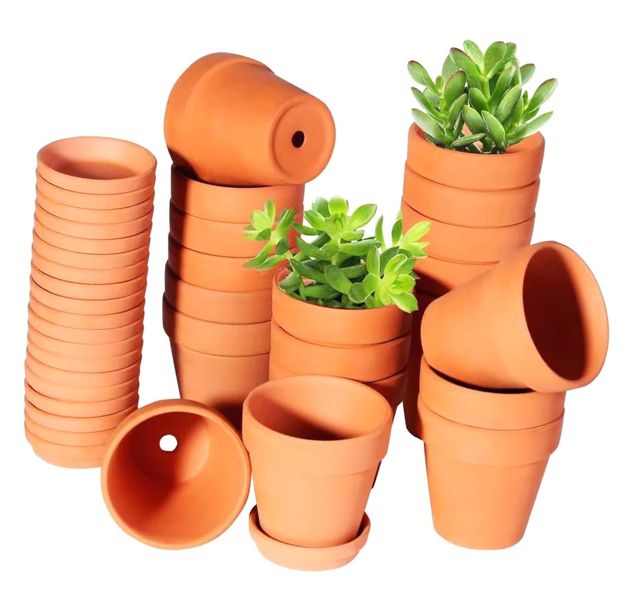 3 Inch Terracotta Potsnull