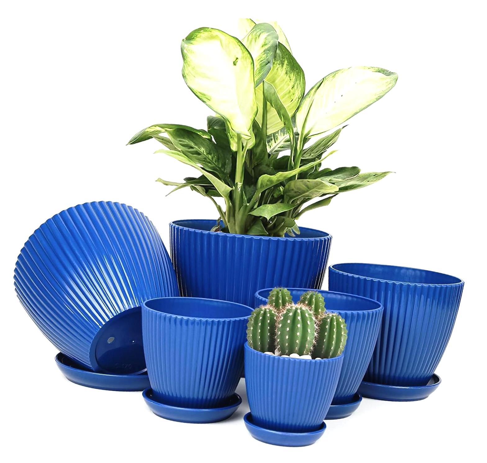 ANYWAY.GO Indoor Plant Pots with Saucers & Drainage - 6 Piece Set ...