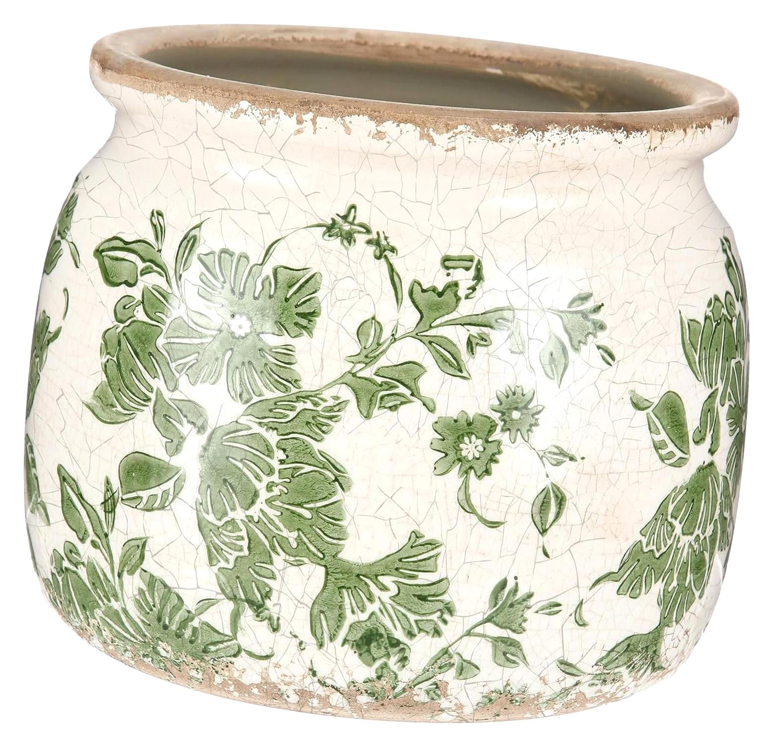 Picture of 20 Enchanting Good Luck Plants to Bring Fortune Indoors