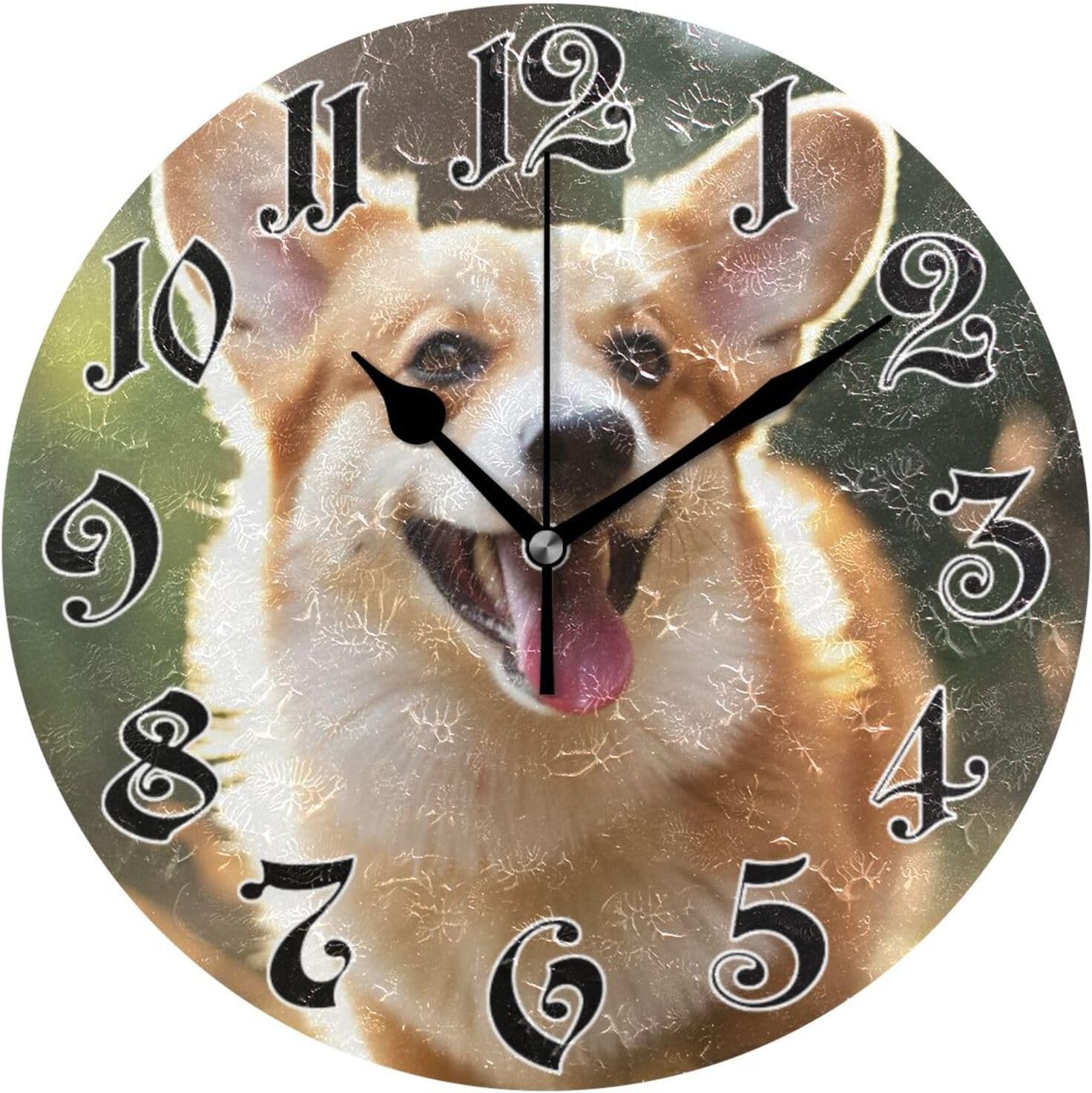 ANYWAY.GO Wall Clock Silent NonTicking, Battery Operated, 10 Inch