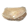 thumbnail image 1 of Anzzi LS-AZ8171 16.5 x 5.875 in. Daniil Series Vessel Sink, Dark Honey Onyx, 1 of 3