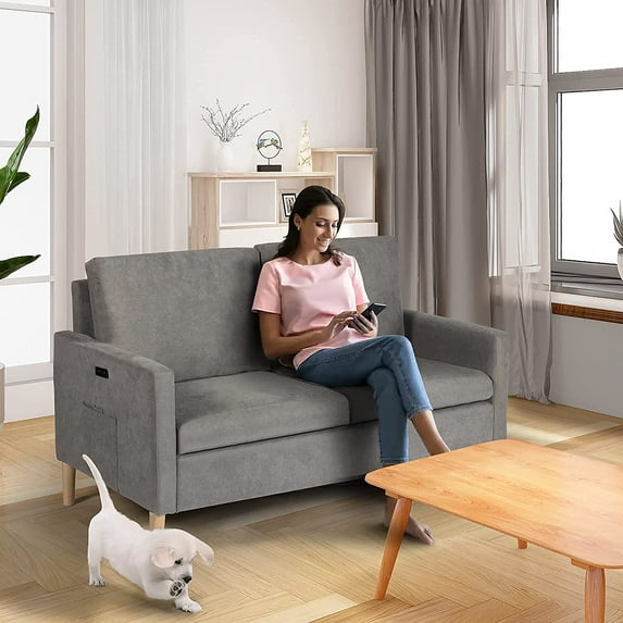AODAILIHB 55" Modern Fabric Loveseat Sofa with 2 USB Charging Ports, Love Seats Suitable for Small Spaces, Living Room, Office, Soft Couch Easy to Install (Light Grey)