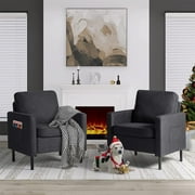 AODAILIHB Modern Adult Gray Armchair Set of 2