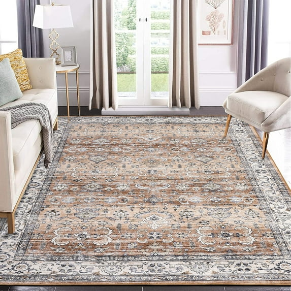 AOILE Style Vintage Area Rug – Soft, Non-Shedding, Foldable, Machine Washable, Anti-Slip Entryway, Kitchen, Bedroom, Rug
