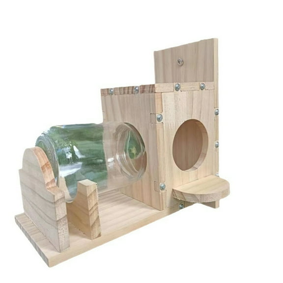 AOJA Wooden Squirrel Feeder with 500ml Capacity Clear Glass Easy Refill Clean Heavy Duty Weather-proof Outdoor Garden Squirrel Feeding Device