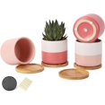 AOMRYOM 4 Inch Ceramic Plant Pots with Drainage Holes and Trays, Garden
