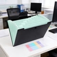 thumbnail image 1 of AOMXGD A4 Mini Accordion File Folder, 8 Candy Colors, Transparent Document & Bill Organizer, Portable Office Supplies, 1 of 6