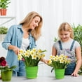thumbnail image 1 of AOMXGD Colourful Plastic Flower Pot, Home Office Decor Gardening Bonsai Planting Basic Pot, 1 of 6