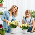 thumbnail image 1 of AOMXGD Colourful Plastic Flower Pot, Home Office Decor Gardening Bonsai Planting Basic Pot, 1 of 6