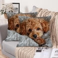 thumbnail image 1 of AOMXGD Cute Animals Print Pillow Set Bedroom Living Room Sofa Cushion 18"x18" For Sofa Living Room Decoration, 1 of 9