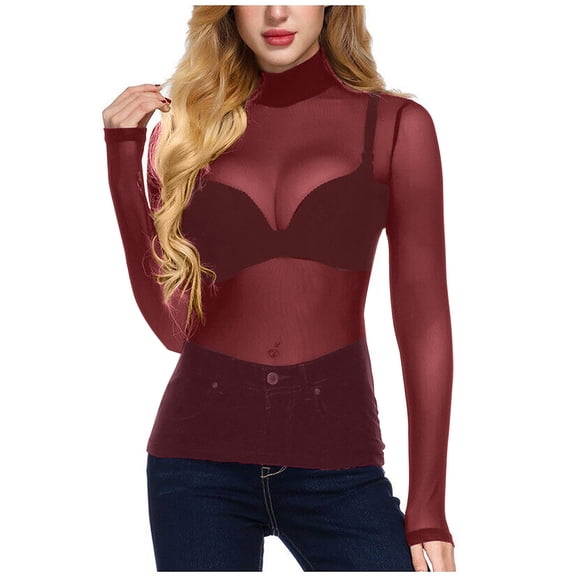 AOOCHASLIY 2023 Valentine's Day Gift Womens Long Sleeve High Neck Arm Shaper Top Sheer Mesh Yoke Casual Blouse Shirt
