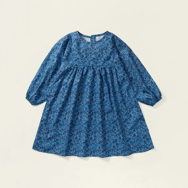 AOOCHASLIY Baby Days Clothes Girls' Blue Floral Dress Spring and 
