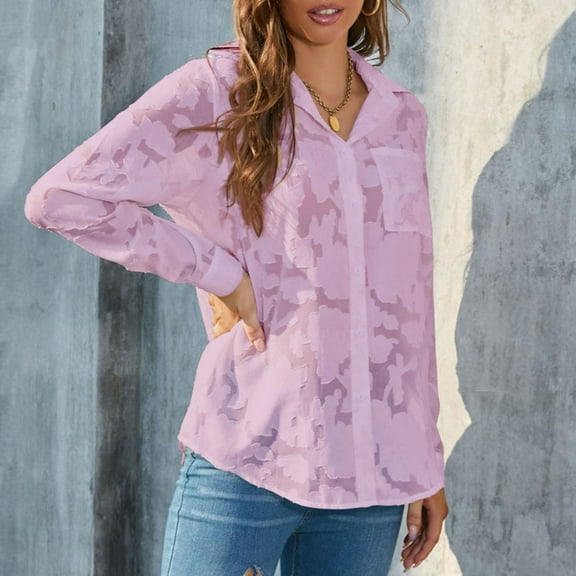 AOOCHASLIY Women's Blouse Womens Chiffon Long Sleeve Fashion Solid Color Tops