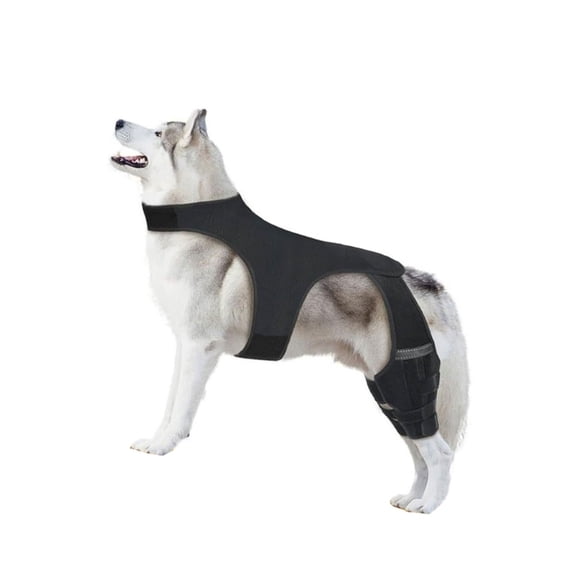 AOOOWER Adjustable Dog Knee Brace Back Leg Joint Protectors Elastic Neoprene Leg Sleeves