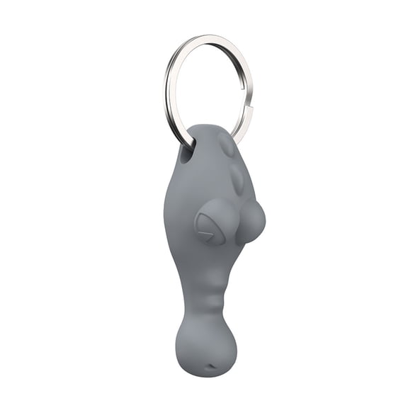 AOOOWER Antilost Card Removal Tool Kit with Silicone Case and 15 Needle