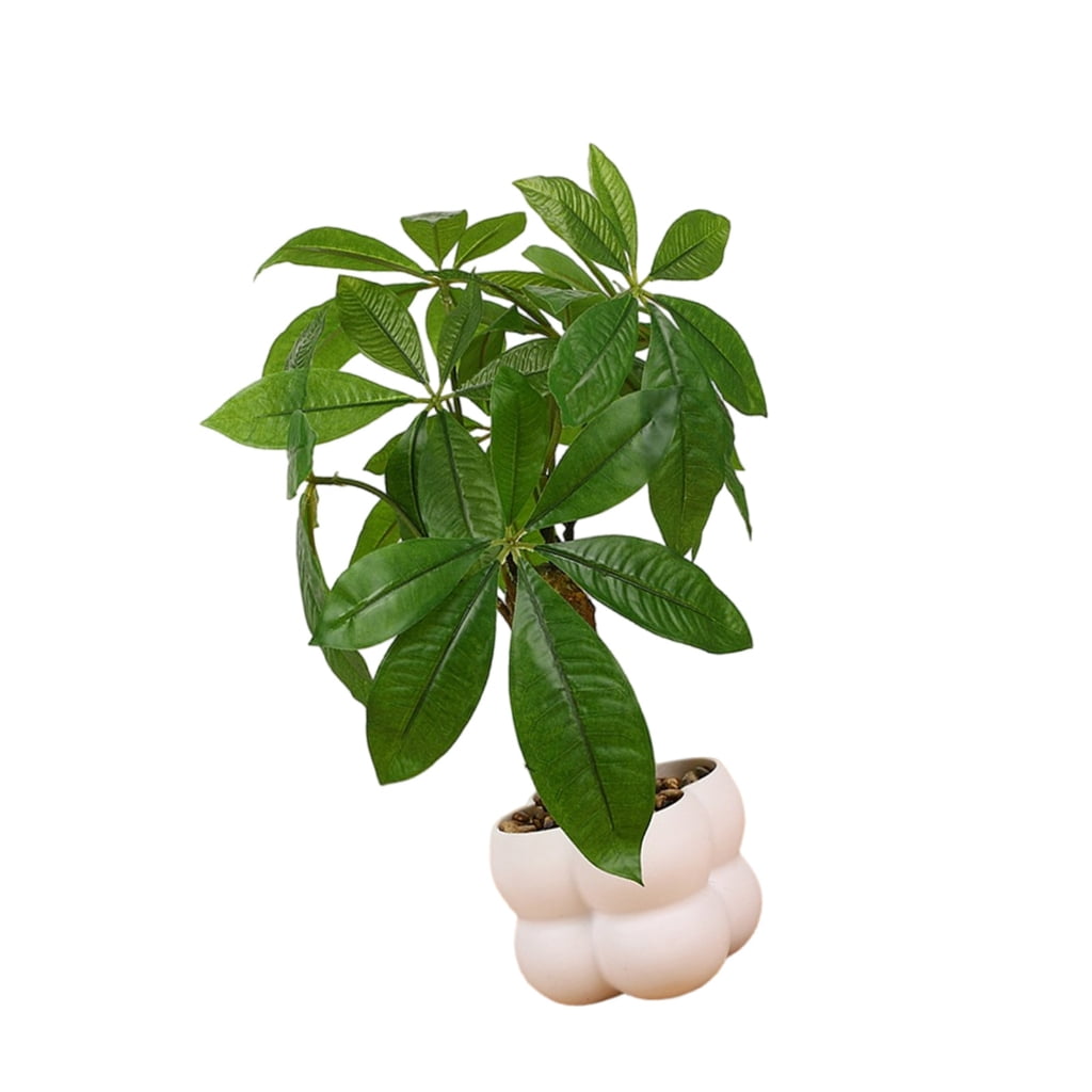 AOOOWER Artificial Money Tree Realistic Simulation Money Tree for Home ...